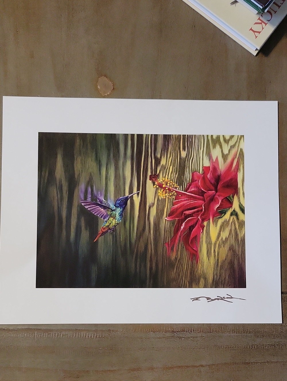 Vibrant Hummingbird & Red Hibiscus Art Print by Matt Beyrer 12 X 9 3/4